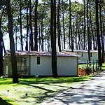 キャンプ場 Parque De Campismo Orbitur Valado ナザレ