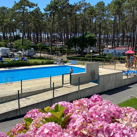 Parque De Campismo Orbitur Valado 纳扎雷