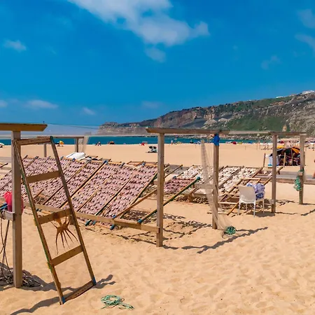 مكان تخييم Parque De Campismo Orbitur Valado