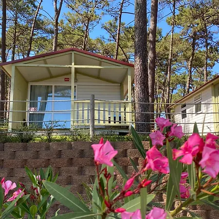 Parque De Campismo Orbitur Valado مكان تخييم 3*