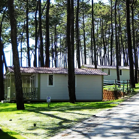 Кемпинг Parque De Campismo Orbitur Valado Назаре