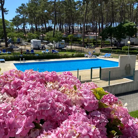 캠프장 Parque De Campismo Orbitur Valado 3*