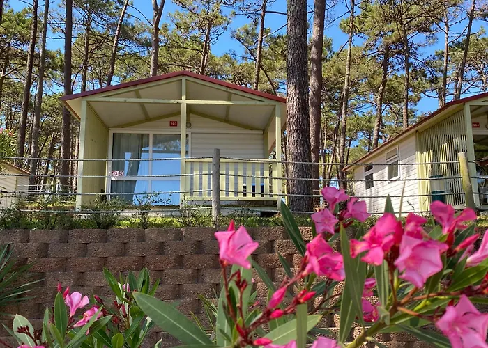 Parque De Campismo Orbitur Valado Kemping 3*