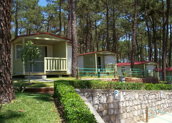 Kemping Parque De Campismo Orbitur Valado 3*