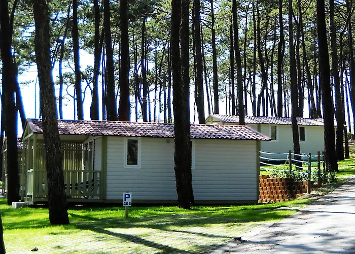 Kemping Parque De Campismo Orbitur Valado Nazaré